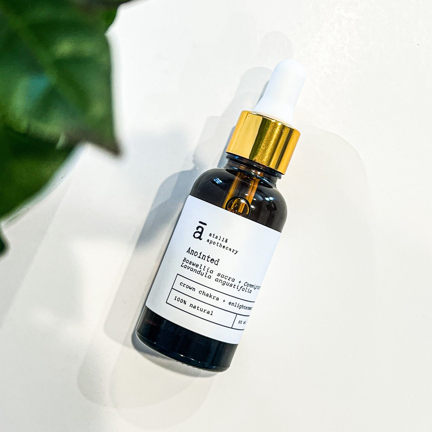 Anointed | Anointing Oil